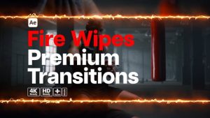 Premium Transitions Fire Wipes