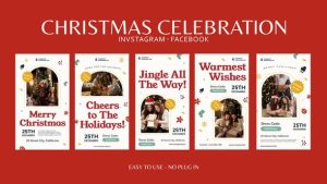 Christmas Celebration Instagram Stories