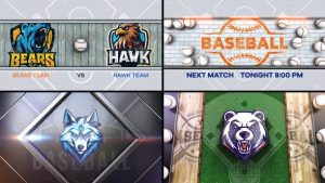 Baseball Bumper 4 (4-Bumpers)