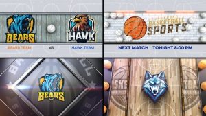 Basketball Bumper 4 (4-Bumpers)