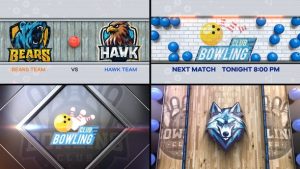 Bowling Bumper 4 (4-Bumpers)