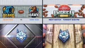 American Football Bumper 4 (4-Bumpers)