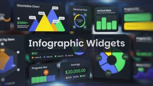 Infographic Widgets