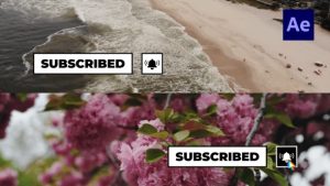 Social Media Buttons Lower Thirds /Ae