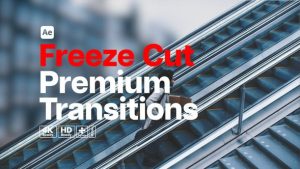 Premium Transitions Freeze Cut